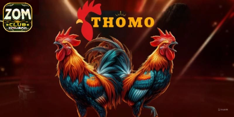 Tất tật tật về luật chơi của đá gà thomo 