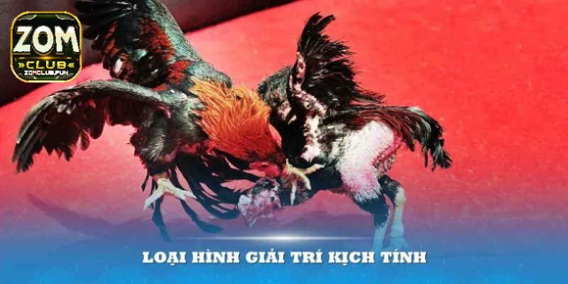 Những lợi thế khi tham gia thomo đá gà tại thương hiệu